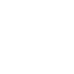 Stroke and Neurological Icon